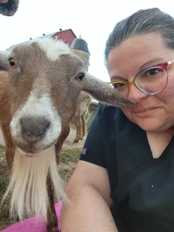 Many and the goat