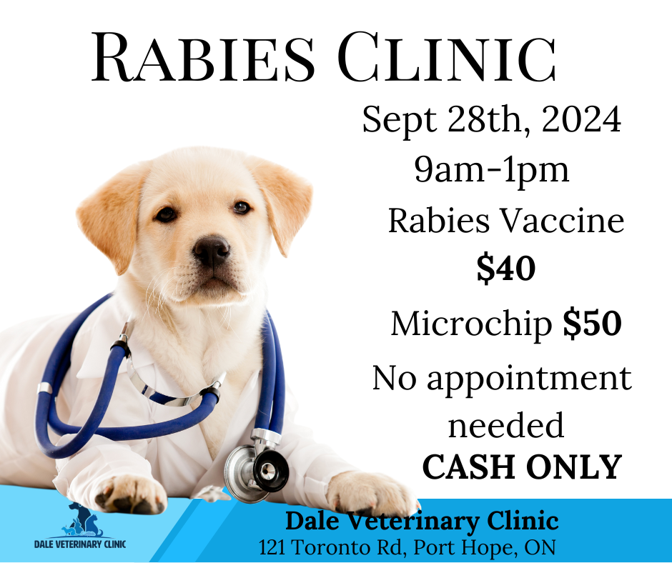 Dale Veterinary Clinic Rabies Clinic Alert