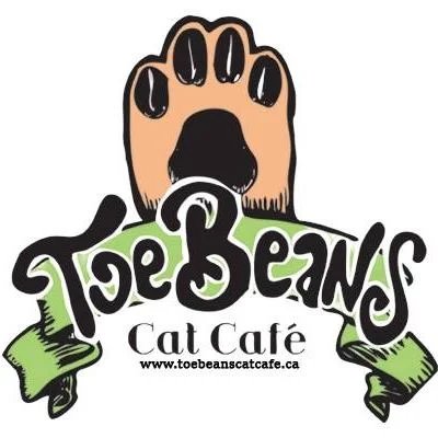 Toe Beans Cat Cafe